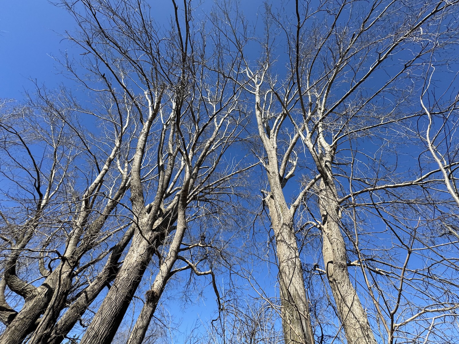 Nature photography from contemplative walks