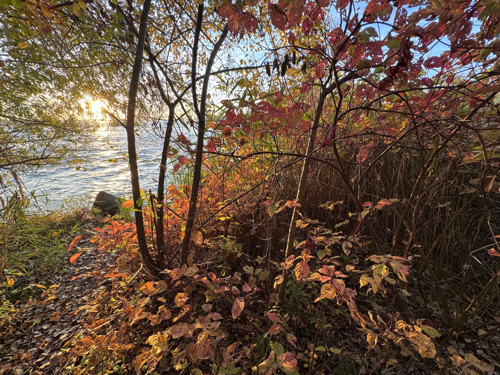Nature photography from contemplative walks