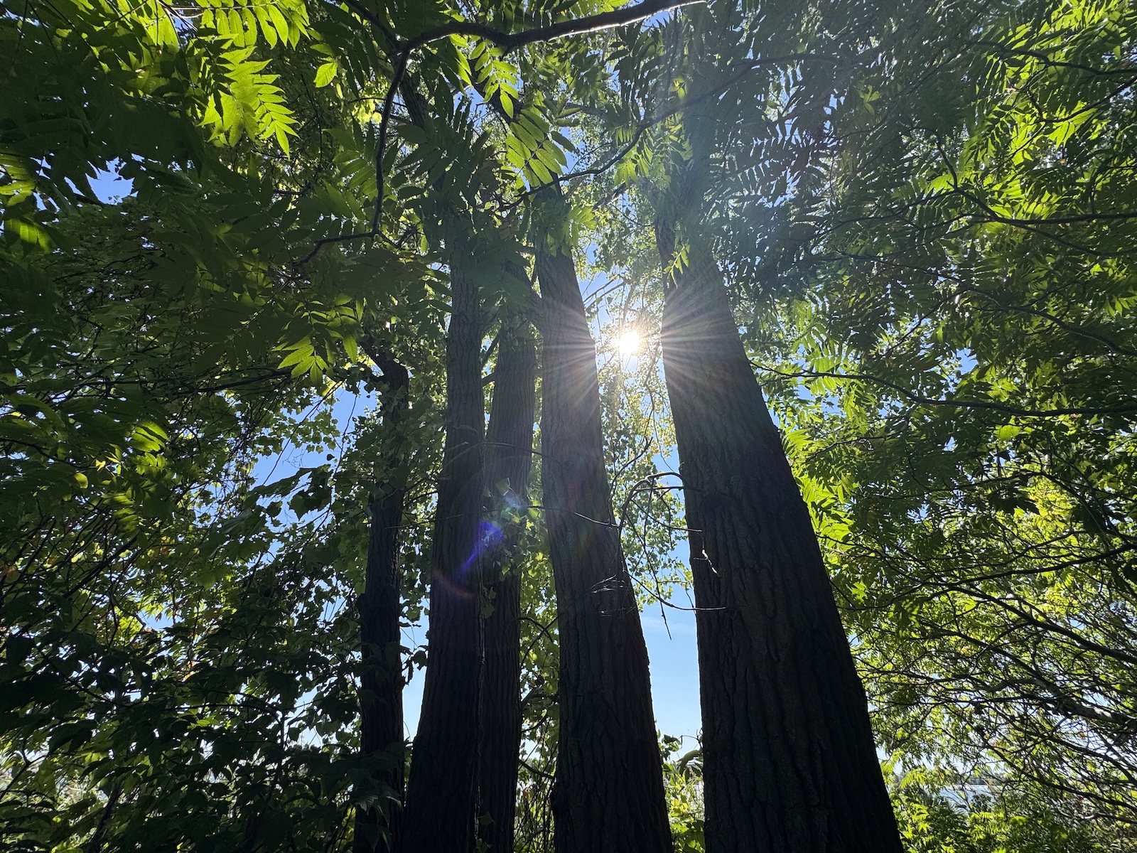 Nature photography from contemplative walks