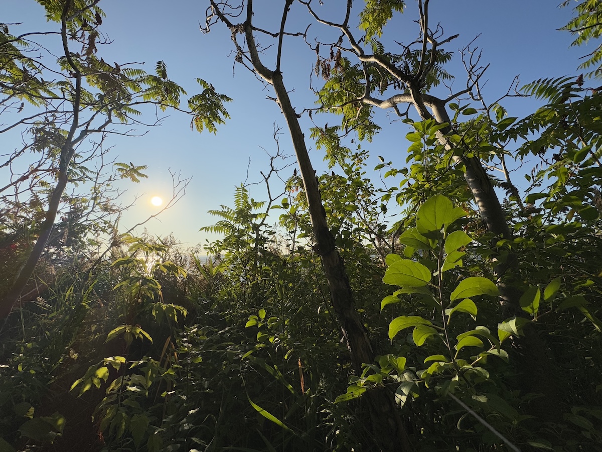 Contemplative nature photography - walking meditation practice